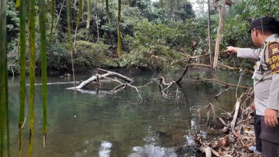 Mandi Sungai Bersama Temannya, Siswa SMP di Bengkulu Utara Ditemukan Tewas Tenggelam