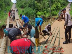 Bersama TNI-Polri Masyarakat Desa Rena Jaya Gotong Royong Bangun Jembatan Darurat Dari Pohon Kelapa