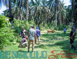 Peduli Lingkungan Tim Penghijauan Lakukan Penanaman Pohon di DAS Senabah