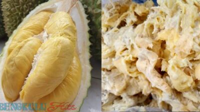 Keistimewaan Kuliner Bengkulu: Memahami Tempoyak, Hidangan Ikonik dengan Proses Pembuatannya