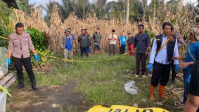 Diduga Depresi Seorang Istri di Rejang Lebong Tega Menghabisi Suami Sendiri
