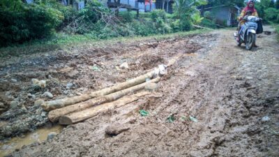 Warga Desa Tanah Hitam Keluhkan Jalan Rusak yang Diabaikan Pemerintah Selama Bertahun Tahun