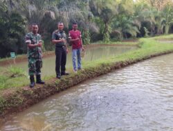 Meningkatkan Ketahanan Pangan, Kodim 0423/Bengkulu Utara Bangun Demplot Kolam Pakan Ikan Di Desa Tambak Rejo