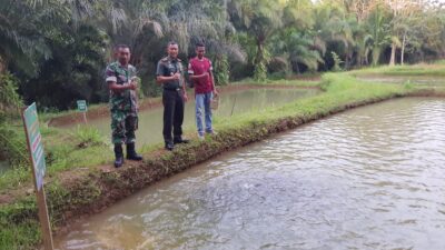 Meningkatkan Ketahanan Pangan, Kodim 0423/Bengkulu Utara Bangun Demplot Kolam Pakan Ikan Di Desa Tambak Rejo