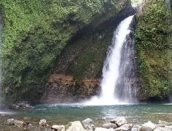 Pesona Kemumu: Menikmati Air Terjun Palak Siring dan Fenomena Mekarnya Bunga Rafflesia di Bengkulu Utara