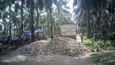 Kekecewaan Masyarakat Memuncak, Forum Masyarakat Bumi Pekal Tutup Akses Jalan PT Agricinal