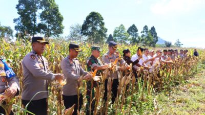 Polres Lebong Gelar Panen Raya Jagung Serentak Tahap I untuk Dukung Swasembada Pangan