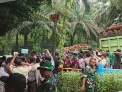 PT SIL Laporkan Dugaan Penjarahan TBS, Minta Penegakan Hukum Tegas; Garbeta Ajukan Bantahan