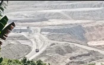Perkebunan di Atas Kertas, Tambang Batu Bara di Lapangan? HGU PT JP Jadi Sorotan