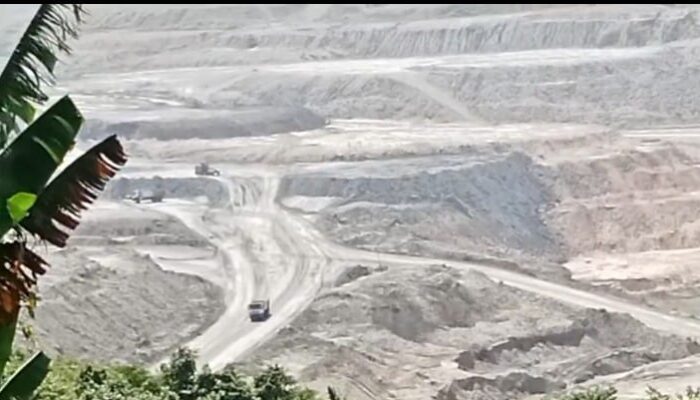 Perkebunan di Atas Kertas, Tambang Batu Bara di Lapangan? HGU PT JP Jadi Sorotan