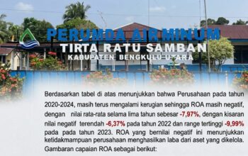 ROA Minus, Tata Kelola Lemah, Audit BPKP Beberkan Kondisi Perumda Tirta Ratu Samban