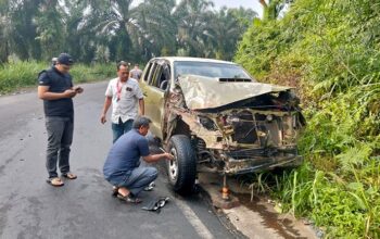Mobil Dinas Satpol PP Bengkulu Utara Kecelakaan di Rejang Lebong, Identitas Pengemudi Tuai Sorotan
